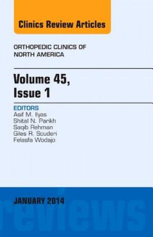 Kniha Volume 45, Issue 1, An Issue of Orthopedic Clinics Asif M. Ilyas