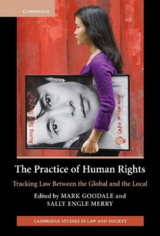 Kniha Practice of Human Rights Mark Goodale