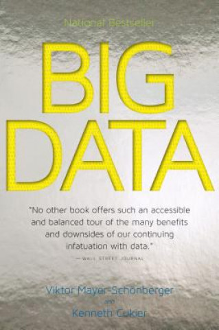 Kniha Big Data Viktor Mayer-Schonberger