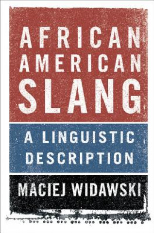 Kniha African American Slang Maciej Widawski