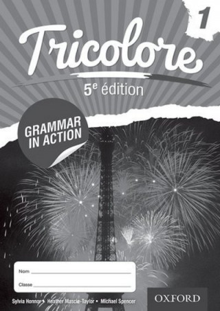 Książka Tricolore 11-14 French Grammar in Action 1 (8 pack) Mascie-Taylor