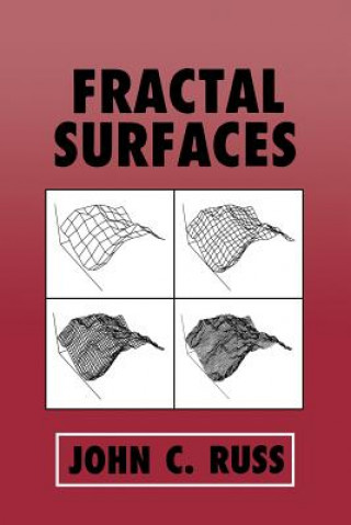 Buch Fractal Surfaces John C. Russ