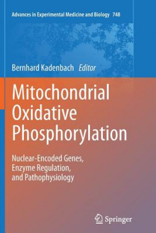 Carte Mitochondrial Oxidative Phosphorylation Bernhard Kadenbach