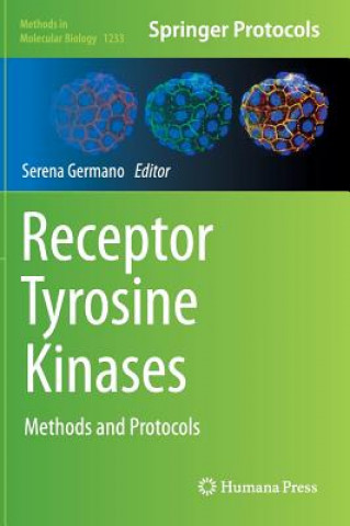 Book Receptor Tyrosine Kinases Serena Germano