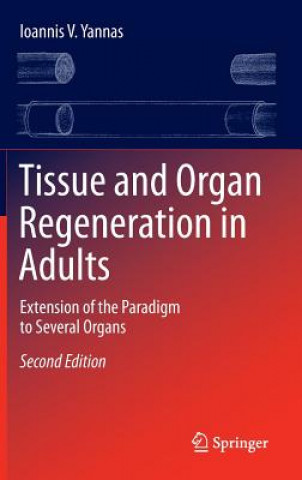 Kniha Tissue and Organ Regeneration in Adults Ioannis V. Yannas