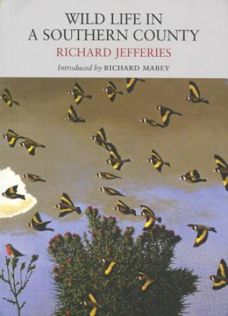 Könyv Wild Life in a Southern County Richard Jefferies