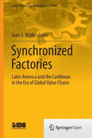Książka Synchronized Factories Juan S. Blyde