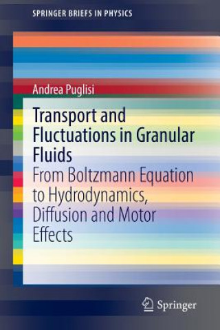 Książka Transport and Fluctuations in Granular Fluids Andrea Puglisi