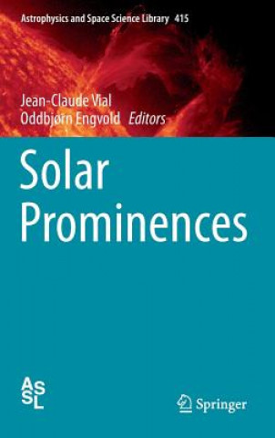 Könyv Solar Prominences Jean-Claude Vial