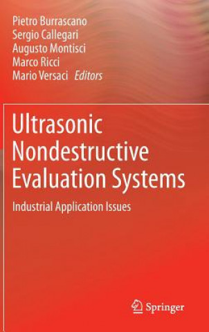 Könyv Ultrasonic Nondestructive Evaluation Systems Giuseppe Acciani
