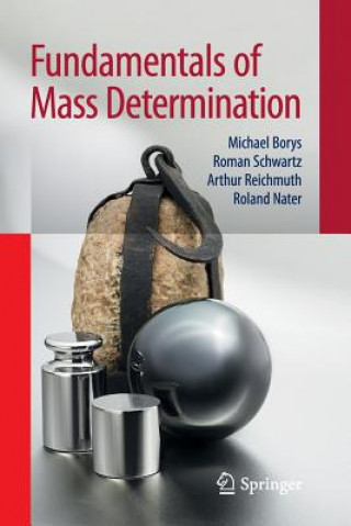 Книга Fundamentals of Mass Determination Michael Borys