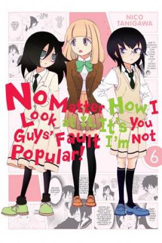 Könyv No Matter How I Look at It, It's You Guys' Fault I'm Not Popular!, Vol. 6 Nico Tanigawa