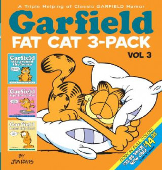 Książka Garfield Fat Cat 3-Pack #3 Jim Davis