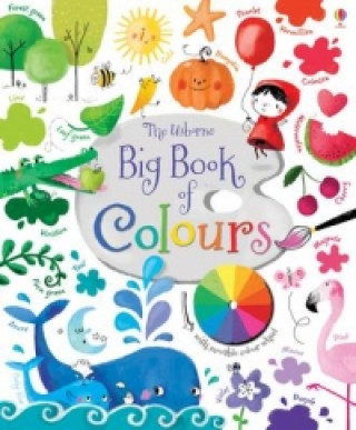 Książka Big Book of Colours Felicity Brooks