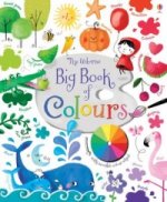 Kniha Big Book of Colours Felicity Brooks