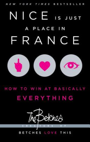 Книга Nice Is Just a Place in France The Betches