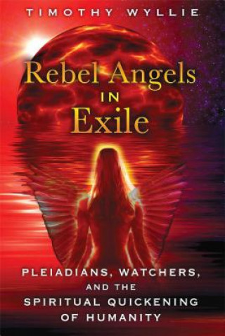 Carte Rebel Angels in Exile Timothy Wyllie