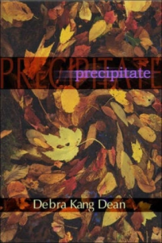 Knjiga Precipitates Debra Kang Dean