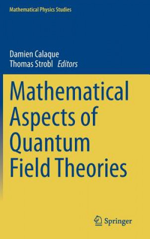 Livre Mathematical Aspects of Quantum Field Theories Damien Calaque