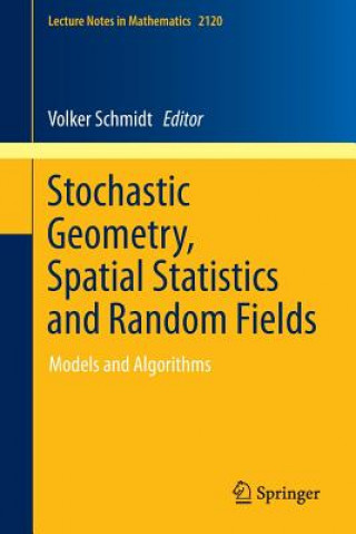 Kniha Stochastic Geometry, Spatial Statistics and Random Fields Volker Schmidt