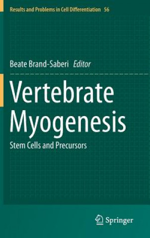 Kniha Vertebrate Myogenesis Beate Brand-Saberi