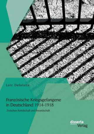 Book Franzoesische Kriegsgefangene in Deutschland 1914-1918 Loic Delafaite