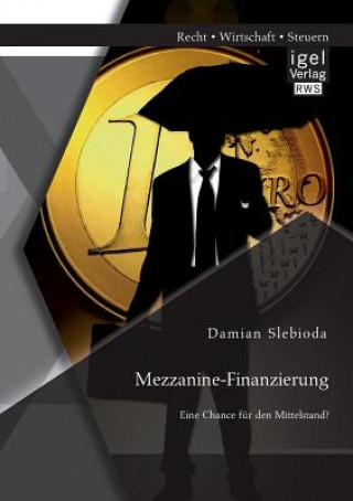 Kniha Mezzanine-Finanzierung Damian Slebioda