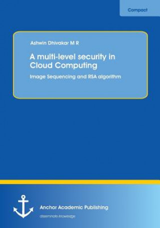 Kniha Multi-Level Security in Cloud Computing Ashwin Dhivakar