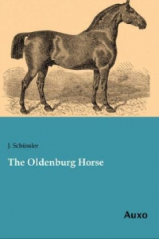 Carte The Oldenburg Horse J. Schüssler