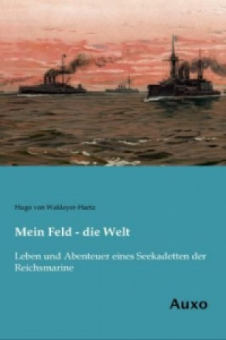 Kniha Mein Feld - die Welt Hugo von Waldeyer-Hartz