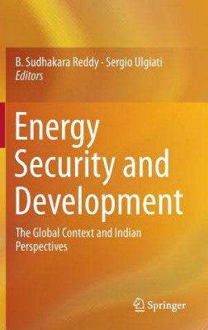 Kniha Energy Security and Development Sudhakara B. Reddy