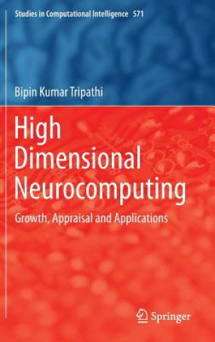 Könyv High Dimensional Neurocomputing Bipin Kumar Tripathi