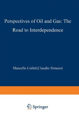 Könyv Perspectives of Oil and Gas: The Road to Interdependence M. Colitti