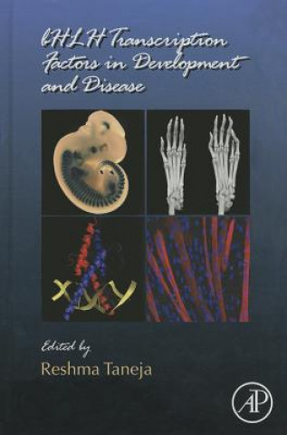 Könyv bHLH Transcription Factors in Development and Disease Reshma Taneja