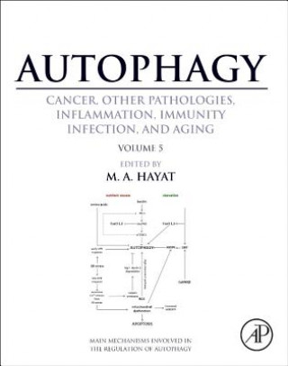 Kniha Autophagy: Cancer, Other Pathologies, Inflammation, Immunity, Infection, and Aging M. Hayat