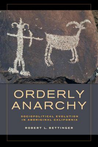 Książka Orderly Anarchy Robert L. Bettinger