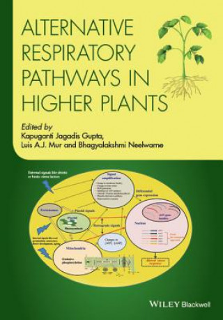 Knjiga Alternative Respiratory Pathways in Higher Plants Kapuganti Jagadis Gupta