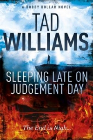 Book Sleeping Late on Judgement Day Tad Williams