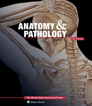 Książka Anatomy & Pathology:The World's Best Anatomical Charts Book Anatomical Chart Company
