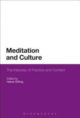 Kniha Meditation and Culture Halvor Eifring