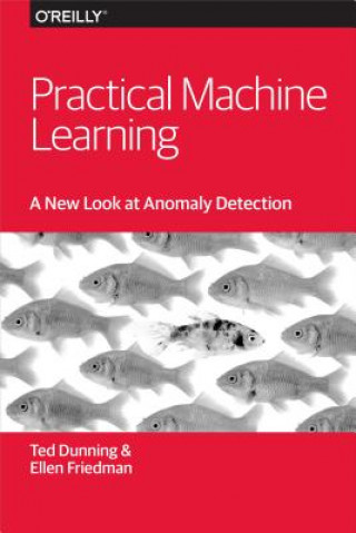 Kniha Practical Machine Learning - A New Look at Anomaly  Detection Ellen Friedman