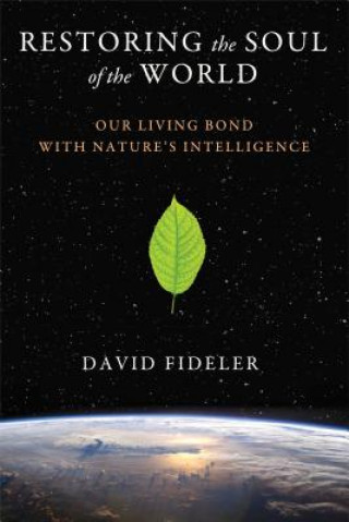 Könyv Restoring the Soul of the World David Fideler