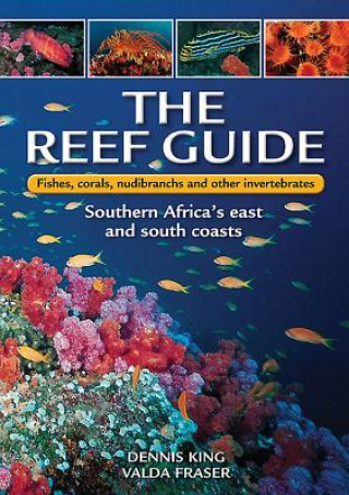 Książka Reef Guide Dennis King