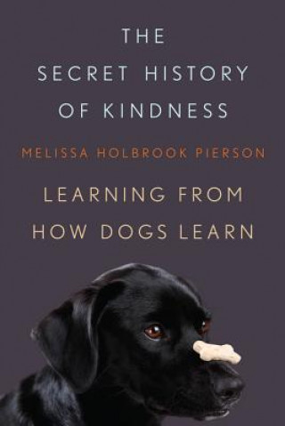 Carte Secret History of Kindness Melissa Holbroo Pierson