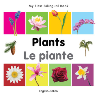 Kniha My First Bilingual Book - Plants - English-spanish Milet