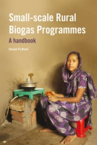 Kniha Small-scale Rural Biogas Programmes David Fulford