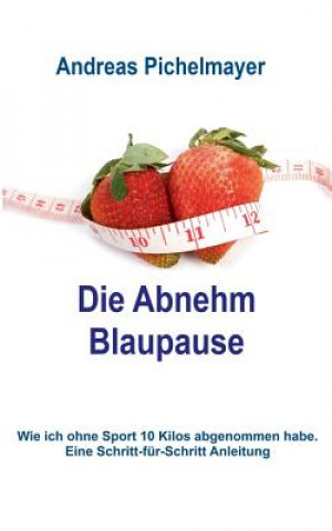Kniha Abnehm Blaupause Andreas Pichelmayer