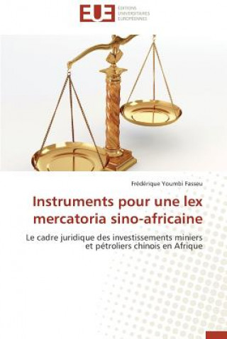 Buch Instruments Pour Une Lex Mercatoria Sino-Africaine Frédérique Youmbi Fasseu