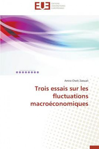 Książka Trois Essais Sur Les Fluctuations Macro conomiques Amira Cheik Zaouali