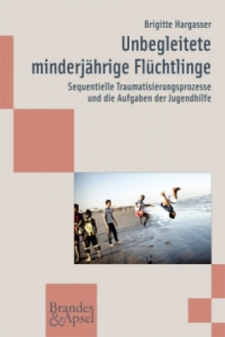 Book Unbegleitete minderjährige Flüchtlinge Brigitte Hargasser